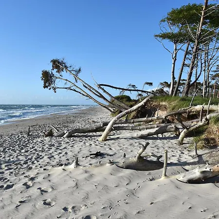5 Sterne Ostseetraum - 50m Zum - Ladestation Fuer E-auto Vakantiehuis Fuhlendorf (Mecklenburg-Vorpommern)