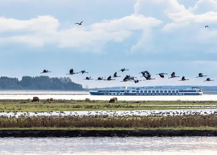 5 Sterne Ostseetraum - 50m Zum - Ladestation Fuer E-auto Feriehus *