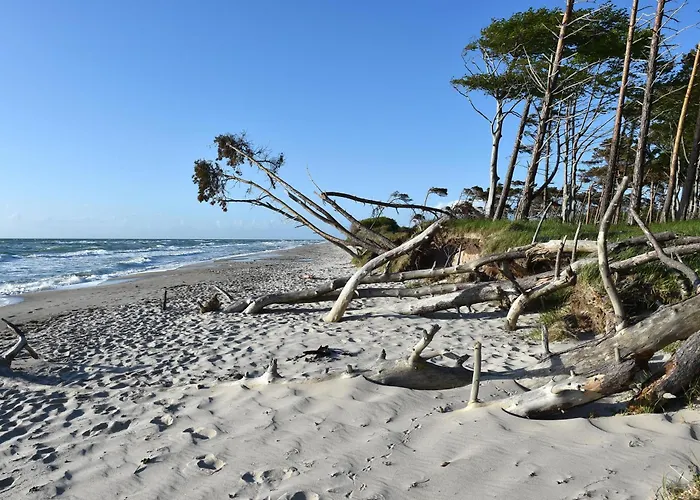 5 Sterne Ostseetraum - 50m Zum - Ladestation Fuer E-auto Feriehus Fuhlendorf (Mecklenburg-Vorpommern)