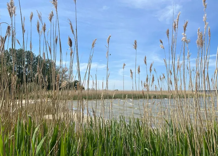 5 Sterne Ostseetraum - 50m Zum - Ladestation Fuer E-auto Fuhlendorf (Mecklenburg-Vorpommern)